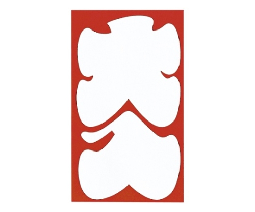 祝円入袋 大入 1パック（10枚入）