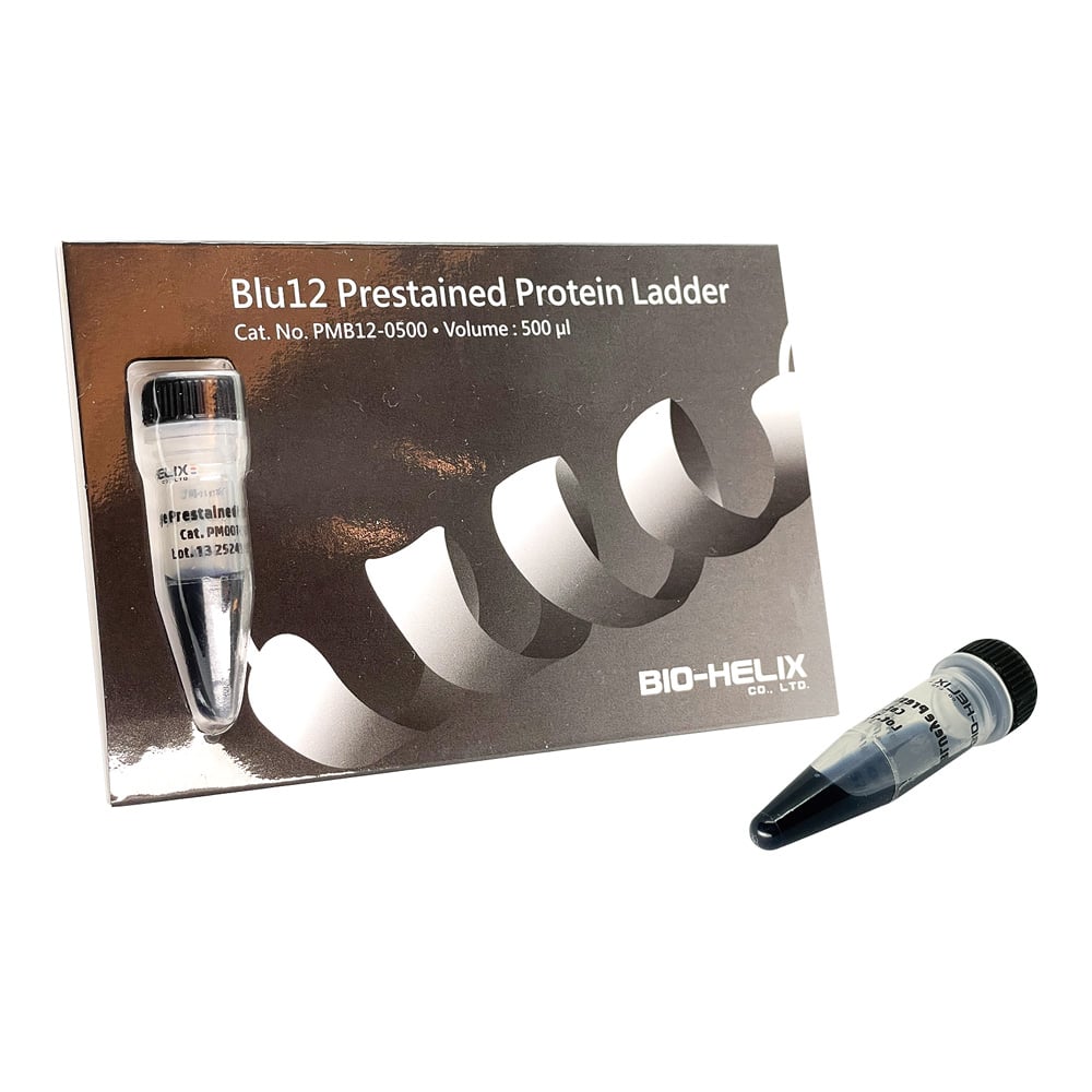 61-9703-39 BLUeye Prestained Protein Ladder プロテインラダー