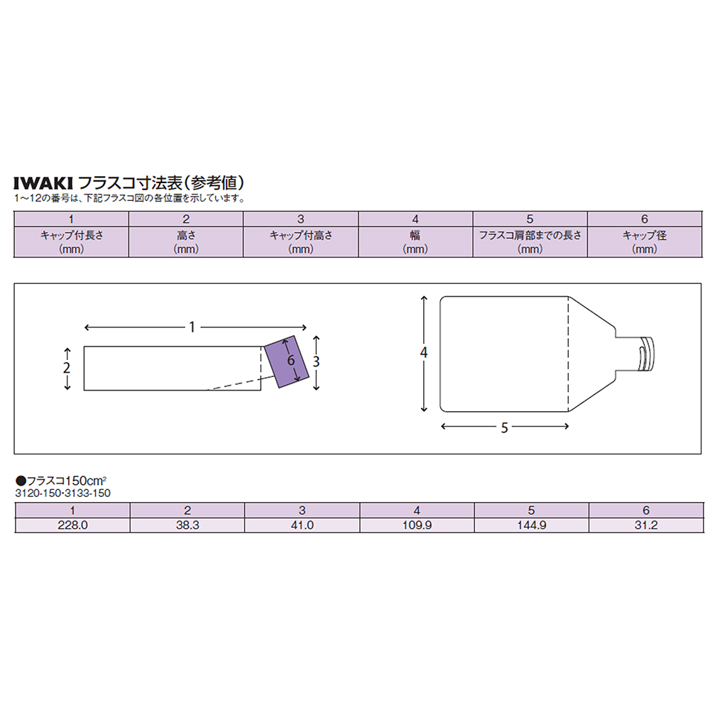 AGCテクノグラス・IWAKI 組織培養用フラスコ（付着性細胞用） 150cm2 ダブルシールキャップ 40個 1箱(40個入) 3120-150 - 1
