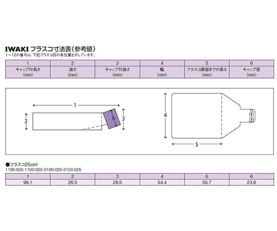 組織培養用フラスコ（付着性細胞用） 25cm2 ベントキャップ 300個