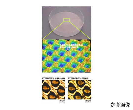 EZSPHERE（スフェロイド形成培養用容器） ディッシュ 35mm 10枚