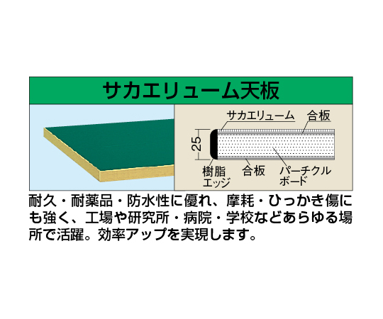 取扱を終了した商品です］中量作業台CSタイプ サカエリューム天板 CS