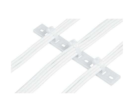 PANDUIT 固定具 マルチタイプレート（100個入）横