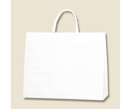HEIKO 紙袋 スムースバッグ Y-3 白無地 25枚 003157000