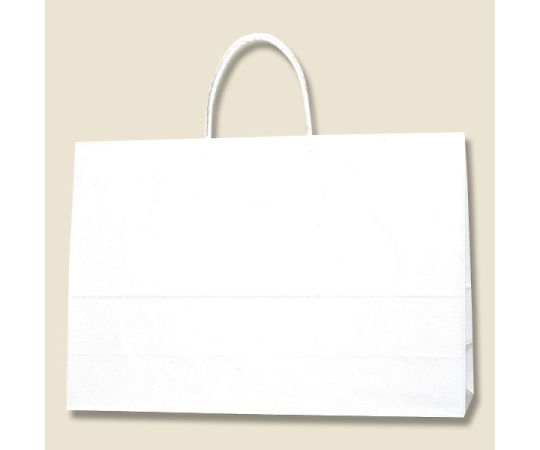 HEIKO 紙袋 スムースバッグ Y-2 白無地 25枚 003157200
