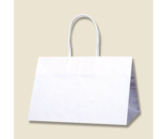 HEIKO 紙袋 Pスムース 31-19 白無地 25枚 003155200