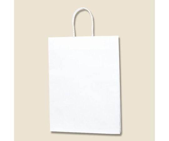 HEIKO 紙袋 Pスムース 33-4 白無地 25枚 003155000