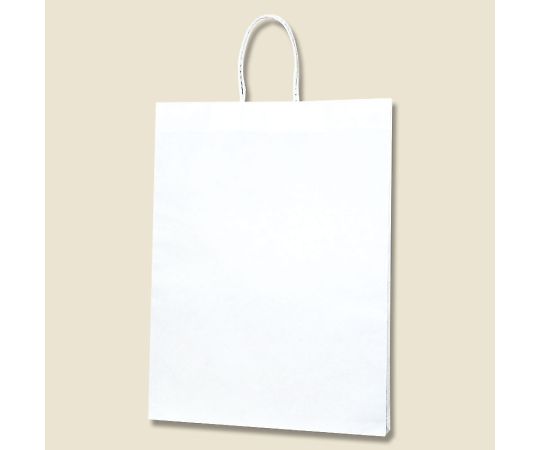 HEIKO 紙袋 Pスムース 39-4 白無地 25枚 003155100