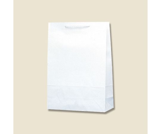 HEIKO 紙袋 T型チャームバッグ 2才 白無地 50枚 003130600