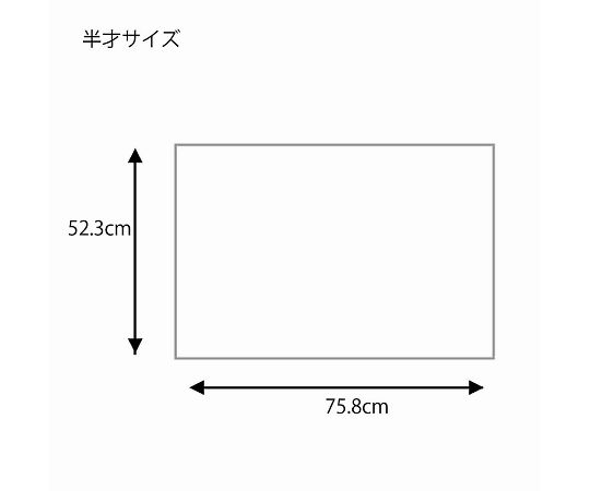HEIKO 包装紙 半才 フウビ 紫 100枚　002318500