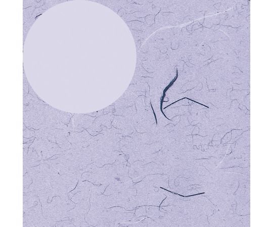 HEIKO 包装紙 半才 フウビ 紫 100枚　002318500