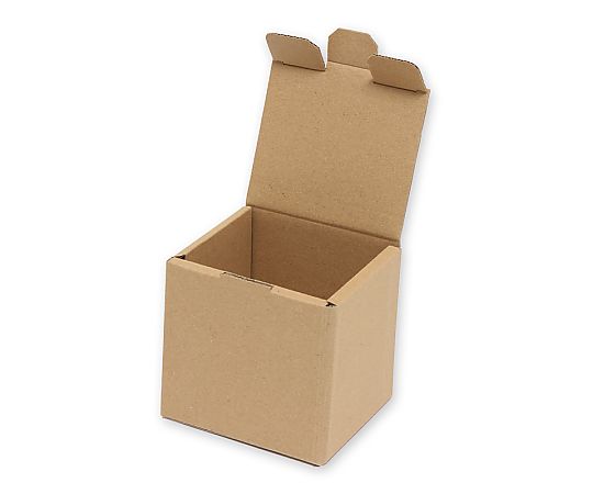 HEIKO 箱 ナチュラルボックス Z-103 10枚