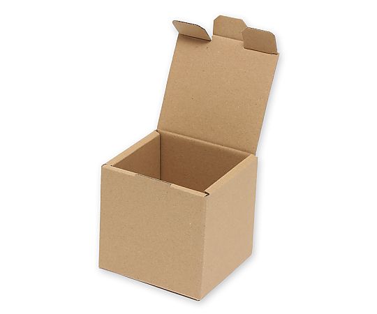 HEIKO 箱 ナチュラルボックス Z-106 10枚