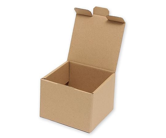 HEIKO 箱 ナチュラルボックス Z-108 10枚