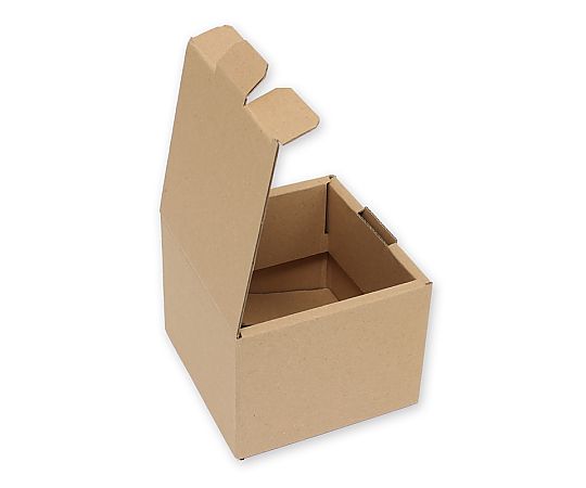 HEIKO 箱 ナチュラルボックス Z-108 10枚