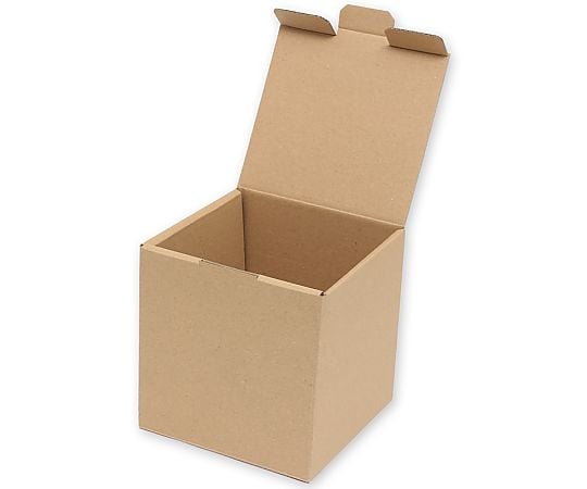 HEIKO 箱 ナチュラルボックス Z-110 10枚