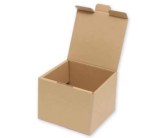 HEIKO 箱 ナチュラルボックス Z-109 10枚