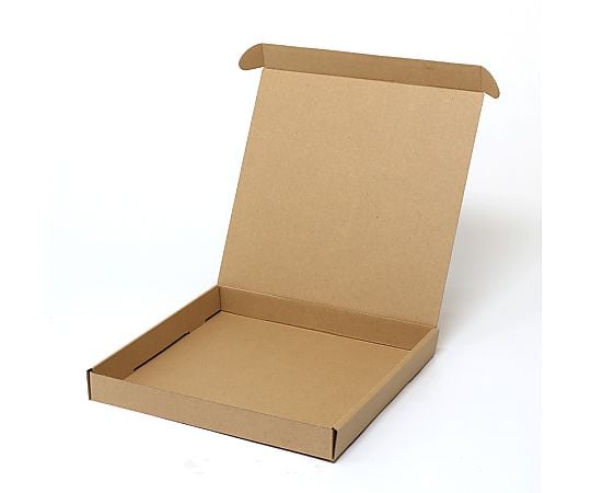 取扱を終了した商品です］HEIKO 箱 ナチュラルボックス Z-26 ビデオ1本