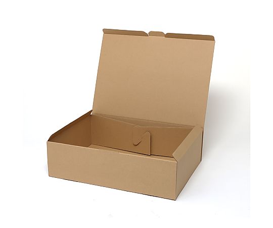 HEIKO 箱 ナチュラルボックス ECO・Z-9 10枚