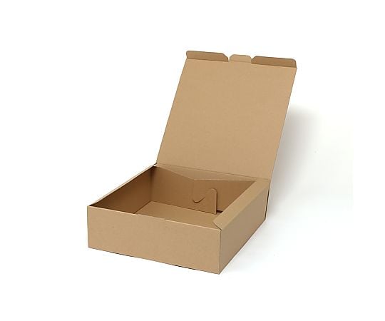 HEIKO 箱 ナチュラルボックス ECO・Z-5 10枚