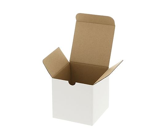 HEIKO 箱 フリーボックス F-1 10枚