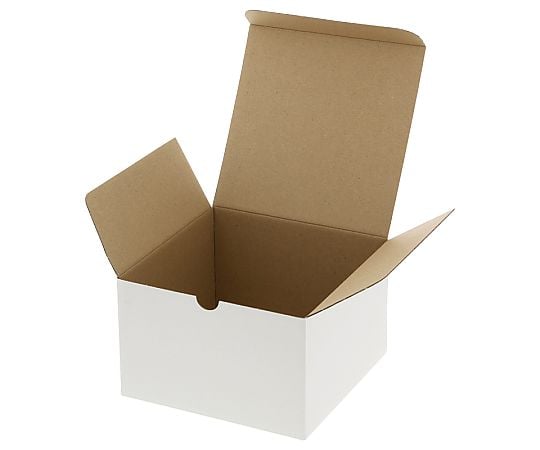 HEIKO 箱 フリーボックス F-2 10枚