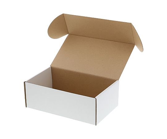 HEIKO 箱 フリーボックス F-3 10枚