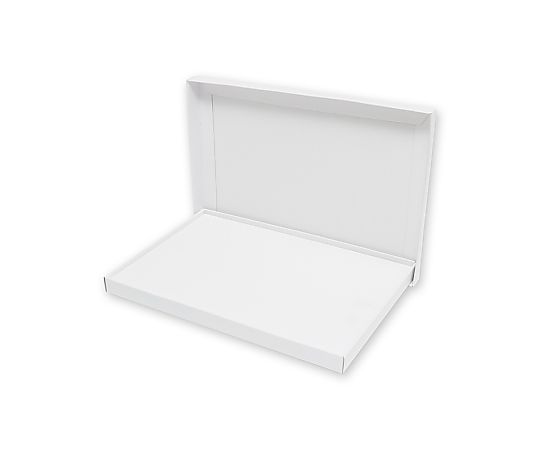 HEIKO 箱 デラックス白無地箱(エスプリ) ハンカチ用 G-2 10枚入