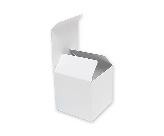 HEIKO 箱 白無地汎用ボックス H-78 10枚