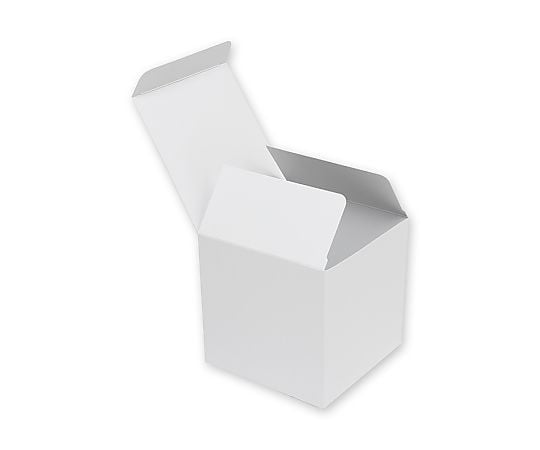 HEIKO 箱 白無地汎用ボックス H-79 10枚