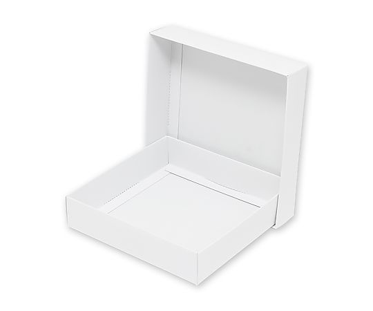 HEIKO 箱 白無地汎用ボックス H-69 10枚