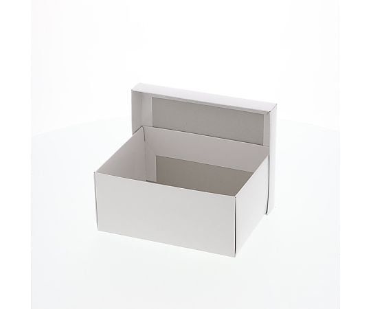 HEIKO 箱 エスプリボックス B-3 10枚