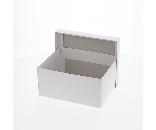 HEIKO 箱 エスプリボックス B-2 10枚