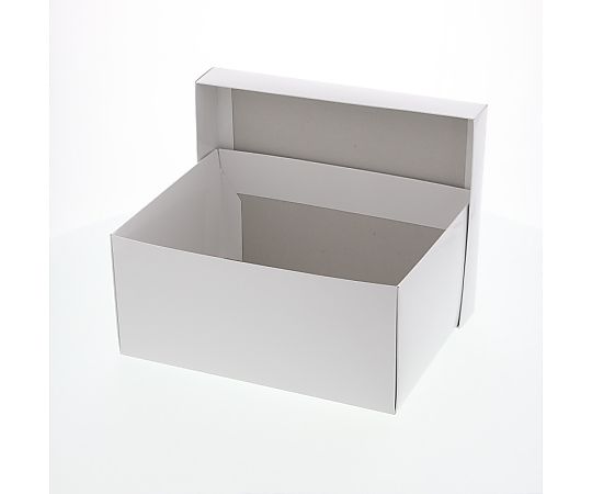 HEIKO 箱 エスプリボックス B-1 10枚