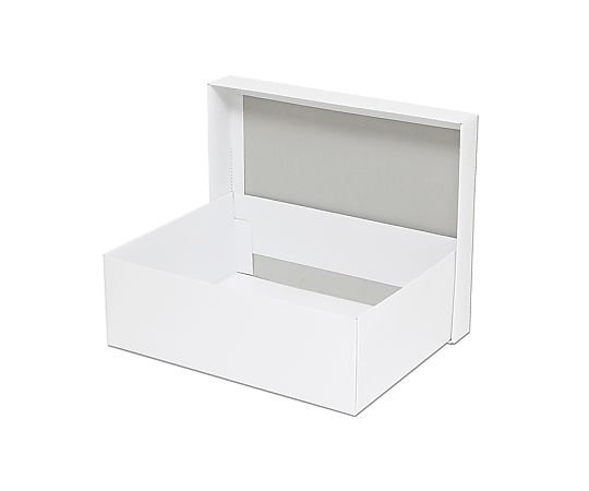 HEIKO 箱 白無地汎用ボックス カバン箱A 10枚