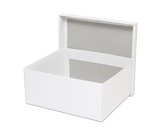 HEIKO 箱 白無地汎用ボックス カバン箱B 10枚