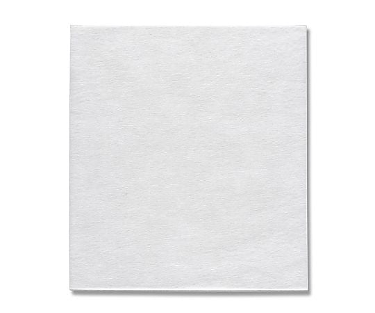 HEIKO 不織布袋 Nノンパピエバッグ 白 45-50 20枚