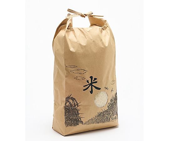 米袋 5Kg 米バンド付 窓付 100枚