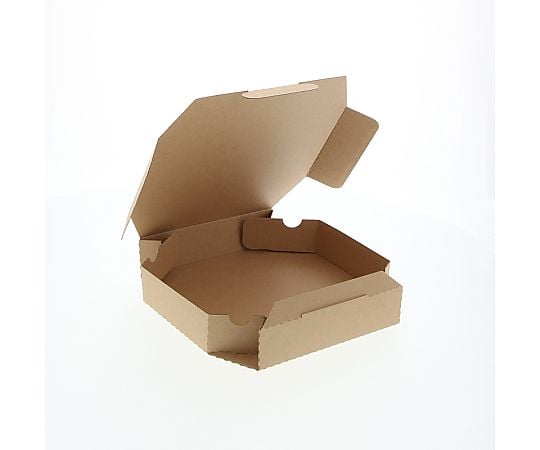 HEIKO 食品容器 ネオクラフトボックス ピザボックス S 10枚