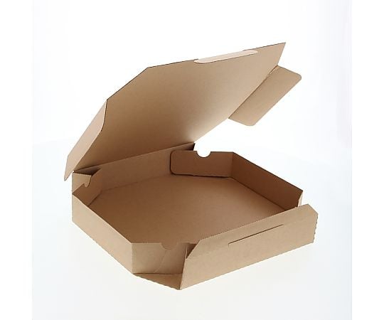 HEIKO 食品容器 ネオクラフトボックス ピザボックス M 10枚