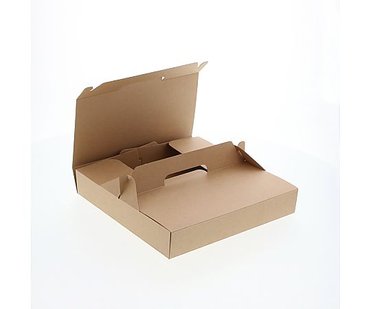 HEIKO 食品容器 ネオクラフト キャリーピザBOX S 10枚