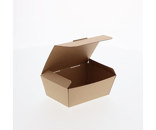 HEIKO 食品容器 ネオクラフトボックス スナックボックス S 20枚