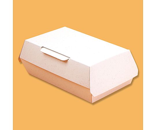 HEIKO エコパームボックス アラカルトS 20枚