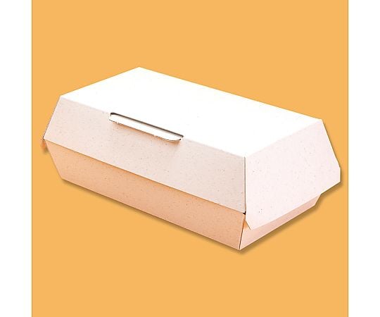 HEIKO エコパームボックス アラカルトM 20枚