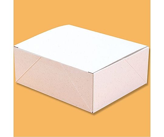 HEIKO エコパームボックス プレーンL 20枚