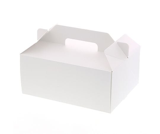 HEIKO 箱 Nキャリーケース ホワイト 18×24 25枚