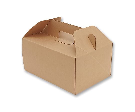 HEIKO 食品容器 ネオクラフトボックス キャリーボックス L 20枚