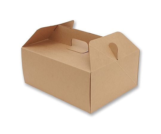 HEIKO 食品容器 ネオクラフトボックス キャリーボックス LL 20枚