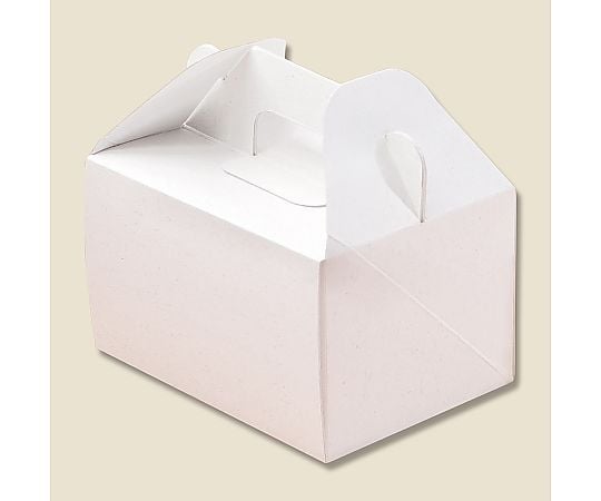 HEIKO エコパームボックス キャリーS 20枚