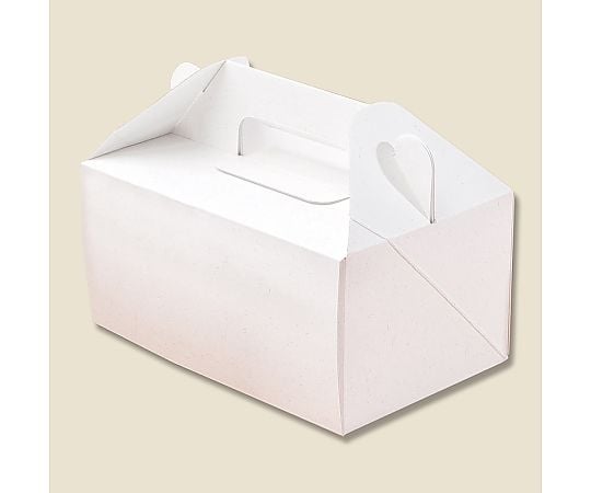 HEIKO エコパームボックス キャリーM 20枚